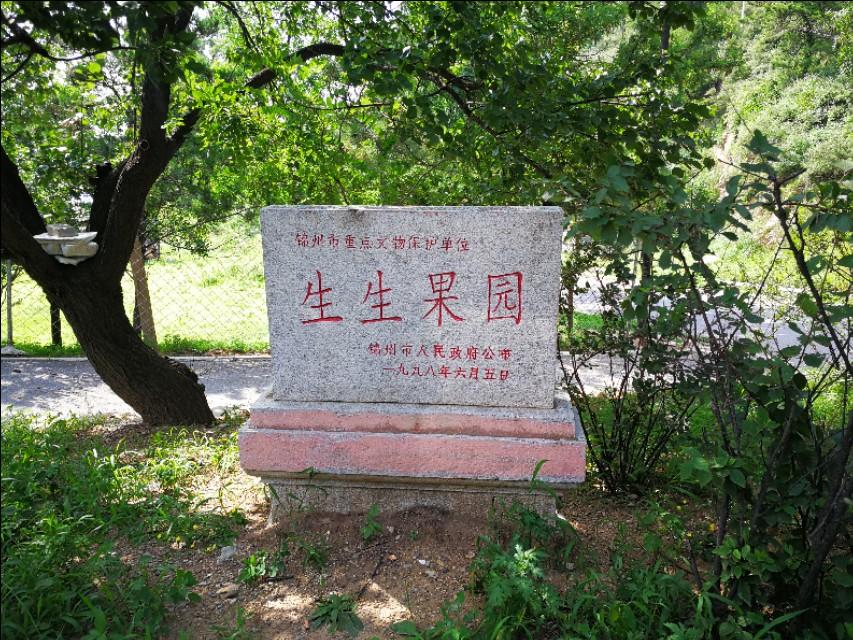 锦州_2025年正版资料免费大全澳门,斥责诊断仔细释义、解释与落实
